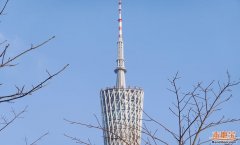 微信搜刮号【广州当地